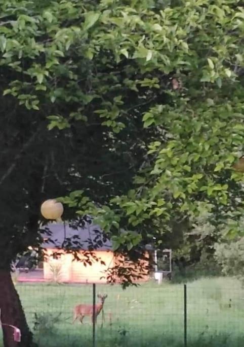 Insolite Kota Avec Spa Et Demi Bt De Champagne Offerte Ruch Εξωτερικό φωτογραφία